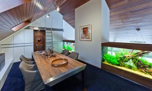 Как правильно подобрать аквариум для дома